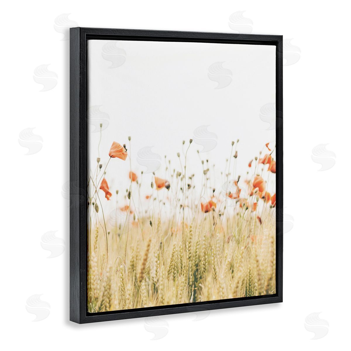 Krista Broadway | Rural Poppy Meadow