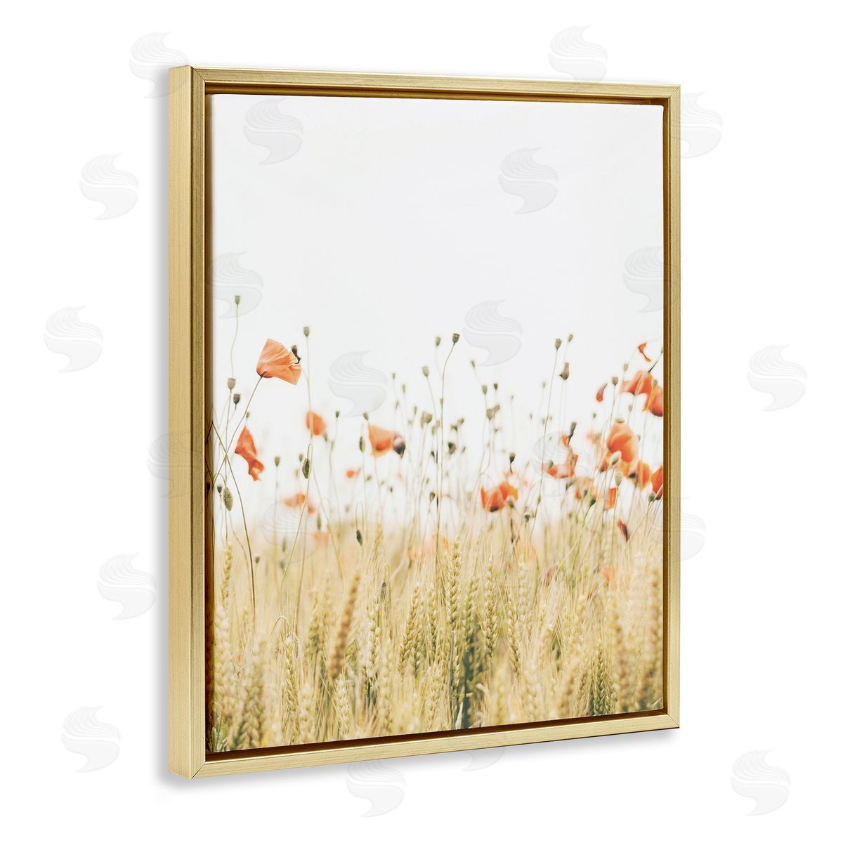 Krista Broadway | Rural Poppy Meadow