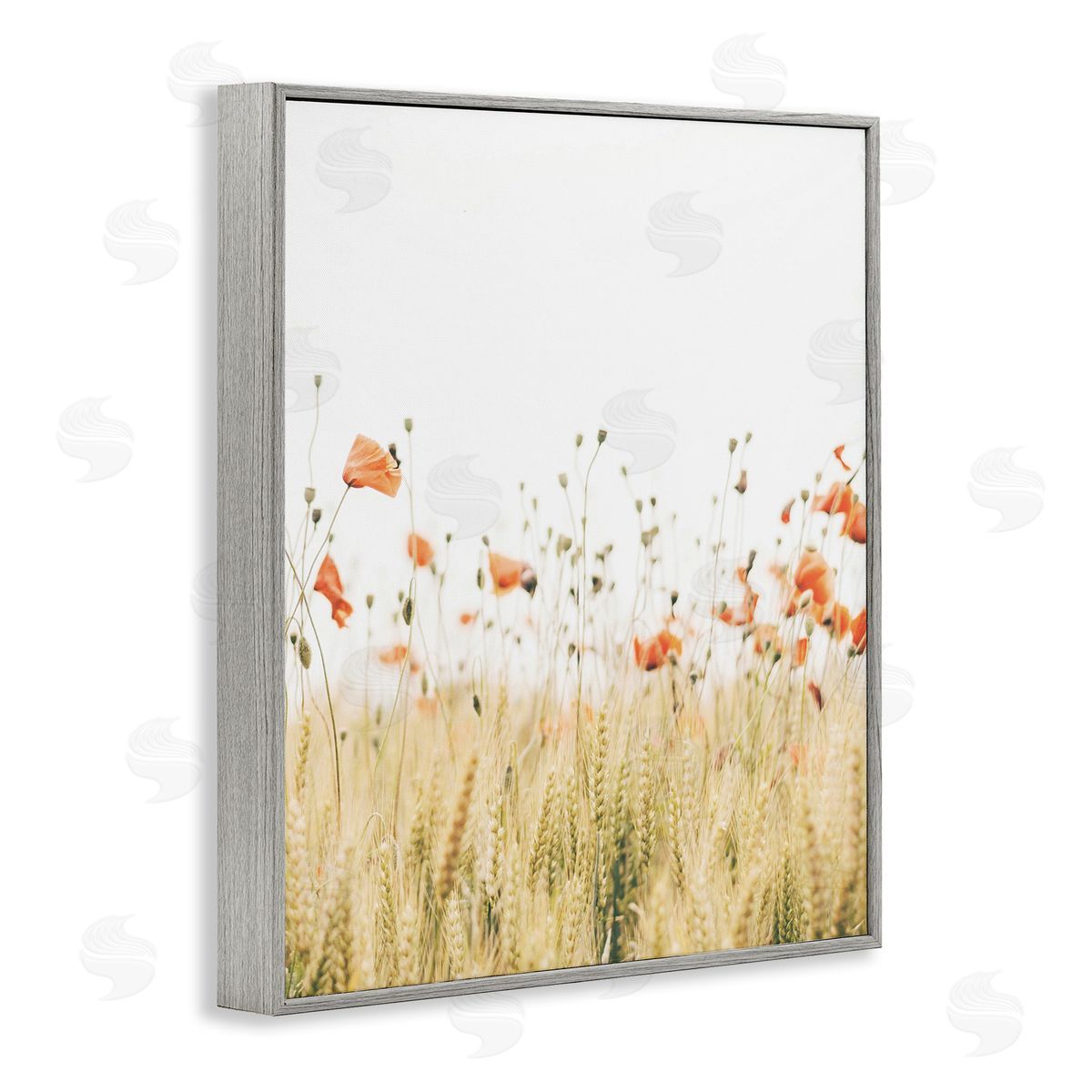 Krista Broadway | Rural Poppy Meadow
