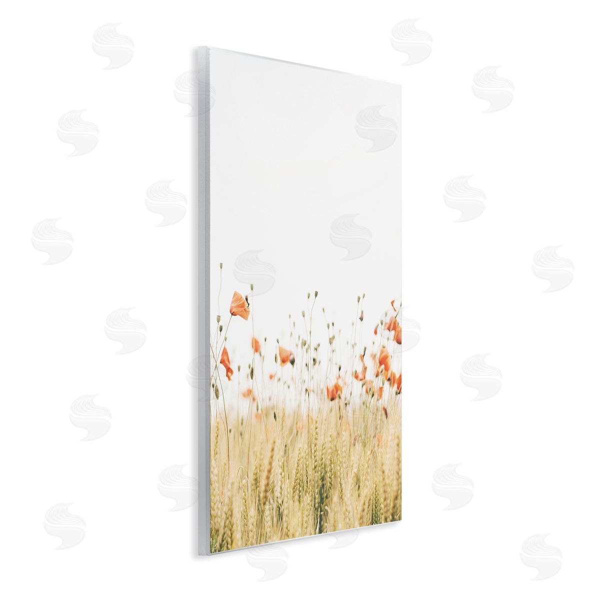 Krista Broadway | Rural Poppy Meadow
