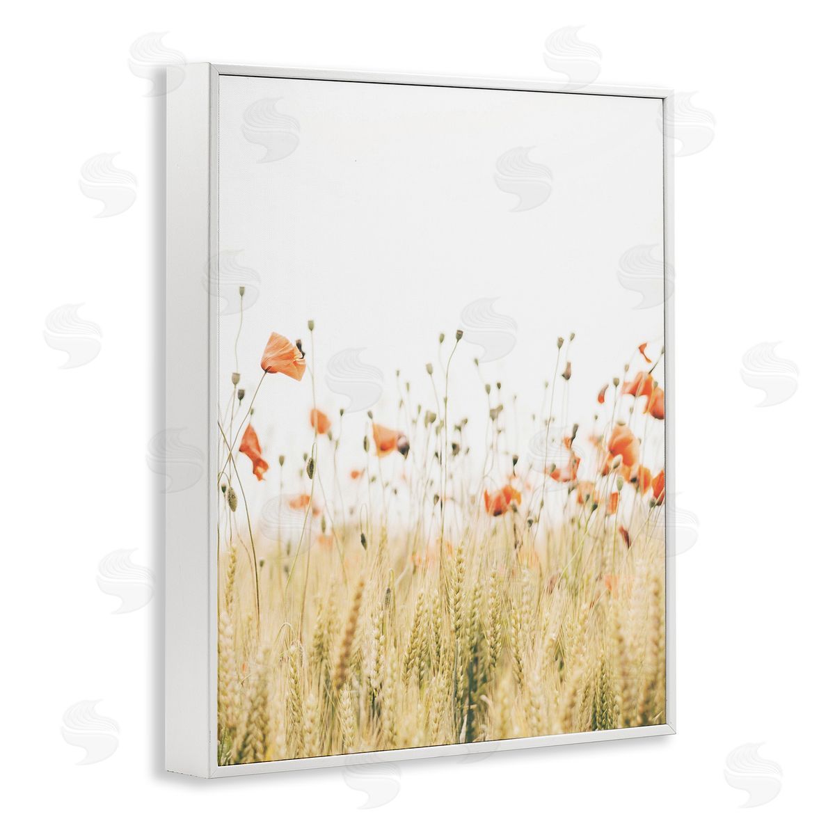 Krista Broadway | Rural Poppy Meadow