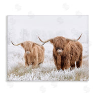 Krista Broadway | Longhorn Cows in Snow