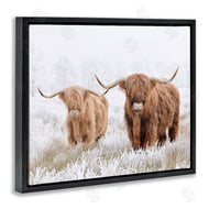 Krista Broadway | Longhorn Cows in Snow