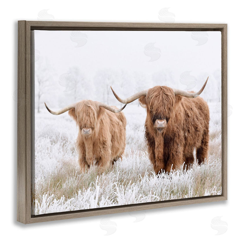 Krista Broadway | Longhorn Cows in Snow