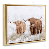 Krista Broadway | Longhorn Cows in Snow
