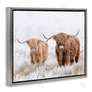 Krista Broadway | Longhorn Cows in Snow
