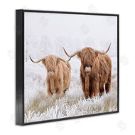 Krista Broadway | Longhorn Cows in Snow