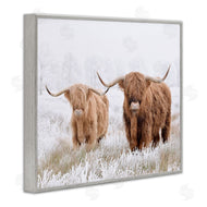 Krista Broadway | Longhorn Cows in Snow