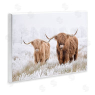 Krista Broadway | Longhorn Cows in Snow