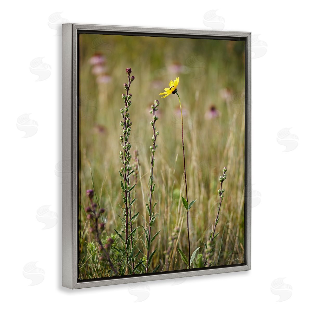 Kent Burkhardsmeier Yellow Daisy Sprout Gray Floater Frame Canvas Artside_