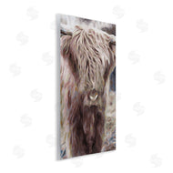 Denise Brown | Cattle Abstract Portrait