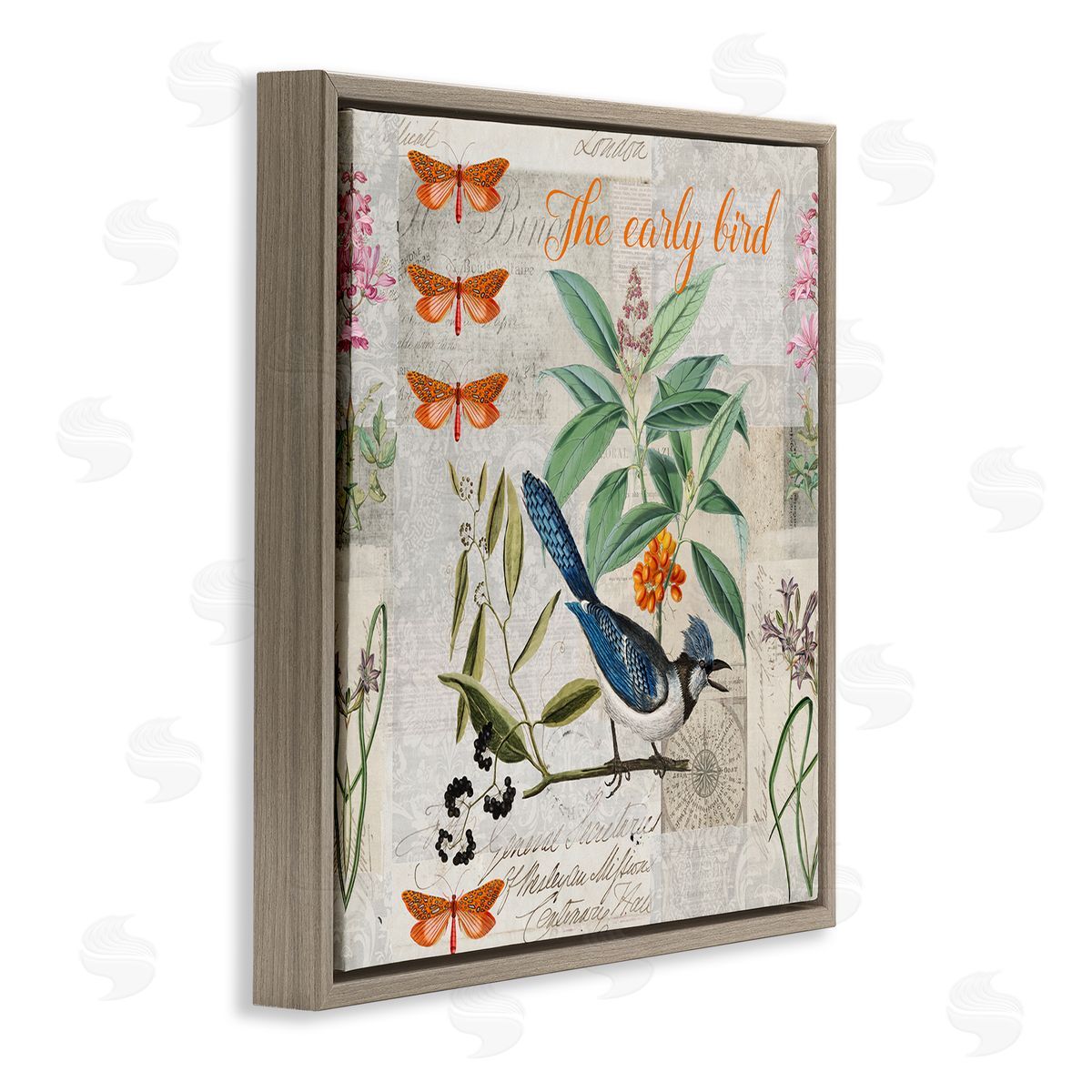 Andrea Haase | Early Bird Vintage Nature