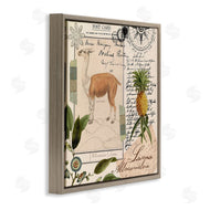 Andrea Haase | Vintage Antelope Postcard