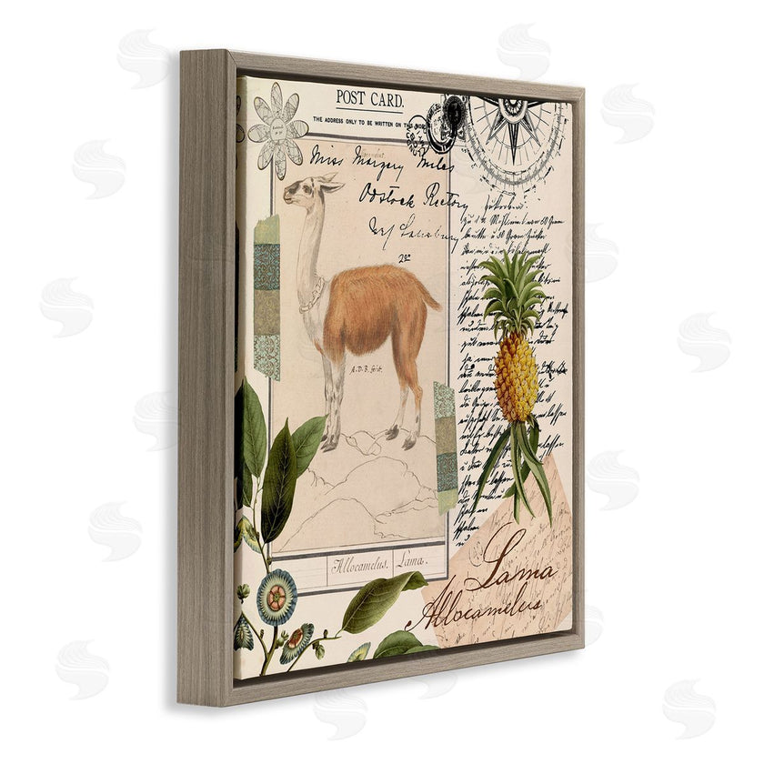Andrea Haase | Vintage Antelope Postcard