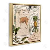 Andrea Haase | Vintage Antelope Postcard