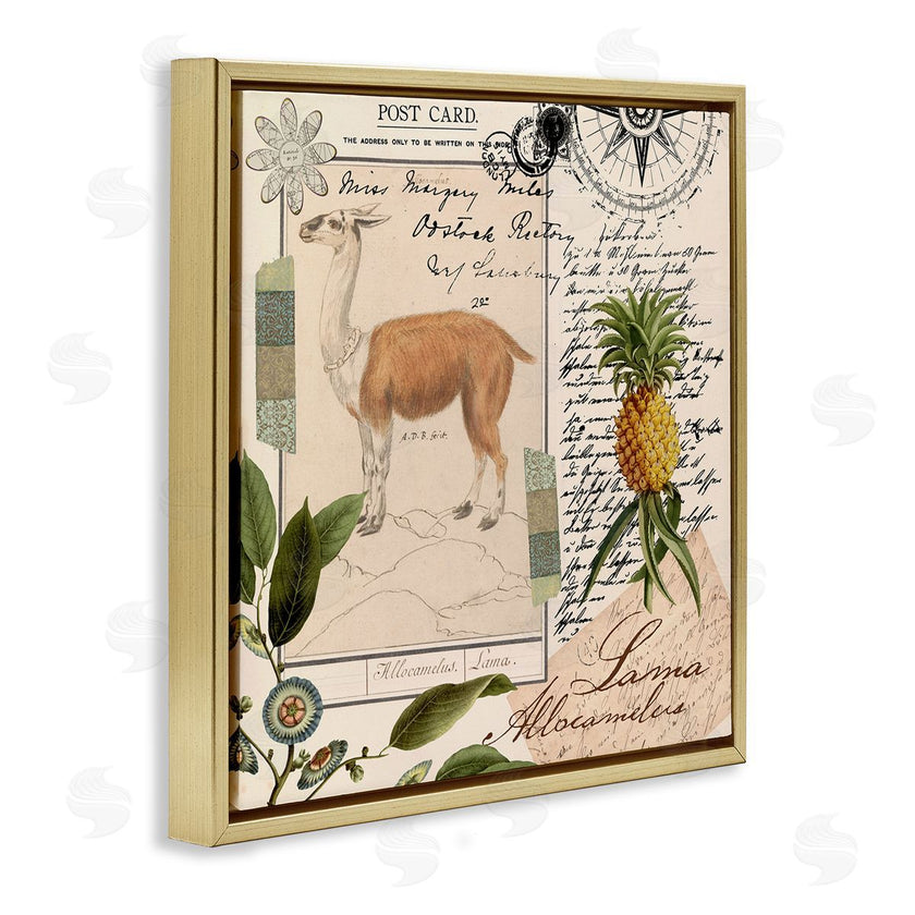Andrea Haase | Vintage Antelope Postcard