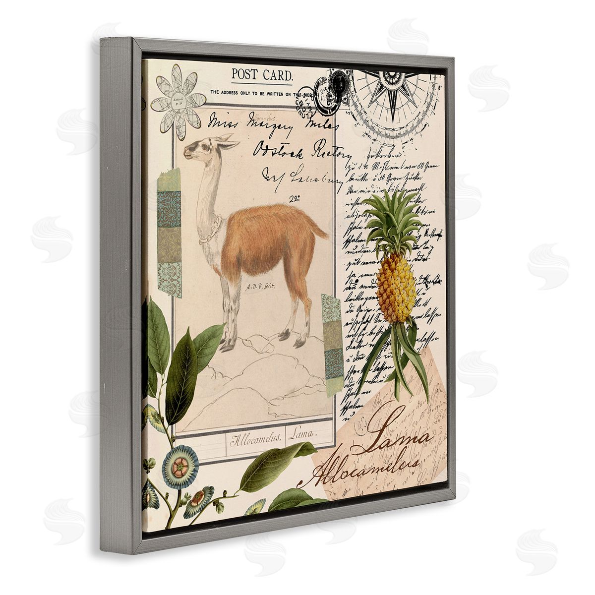 Andrea Haase Vintage Antelope Postcard Gray Floater Frame Canvas Artside_