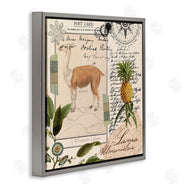 Andrea Haase | Vintage Antelope Postcard