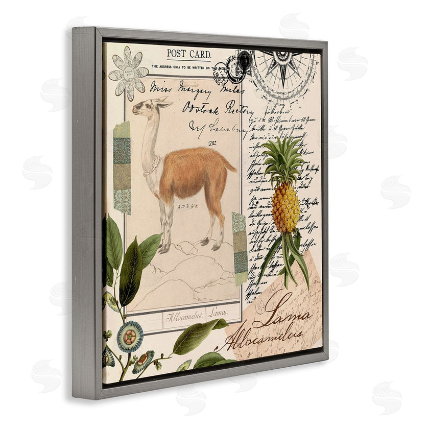 Andrea Haase | Vintage Antelope Postcard