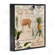 Andrea Haase | Vintage Antelope Postcard