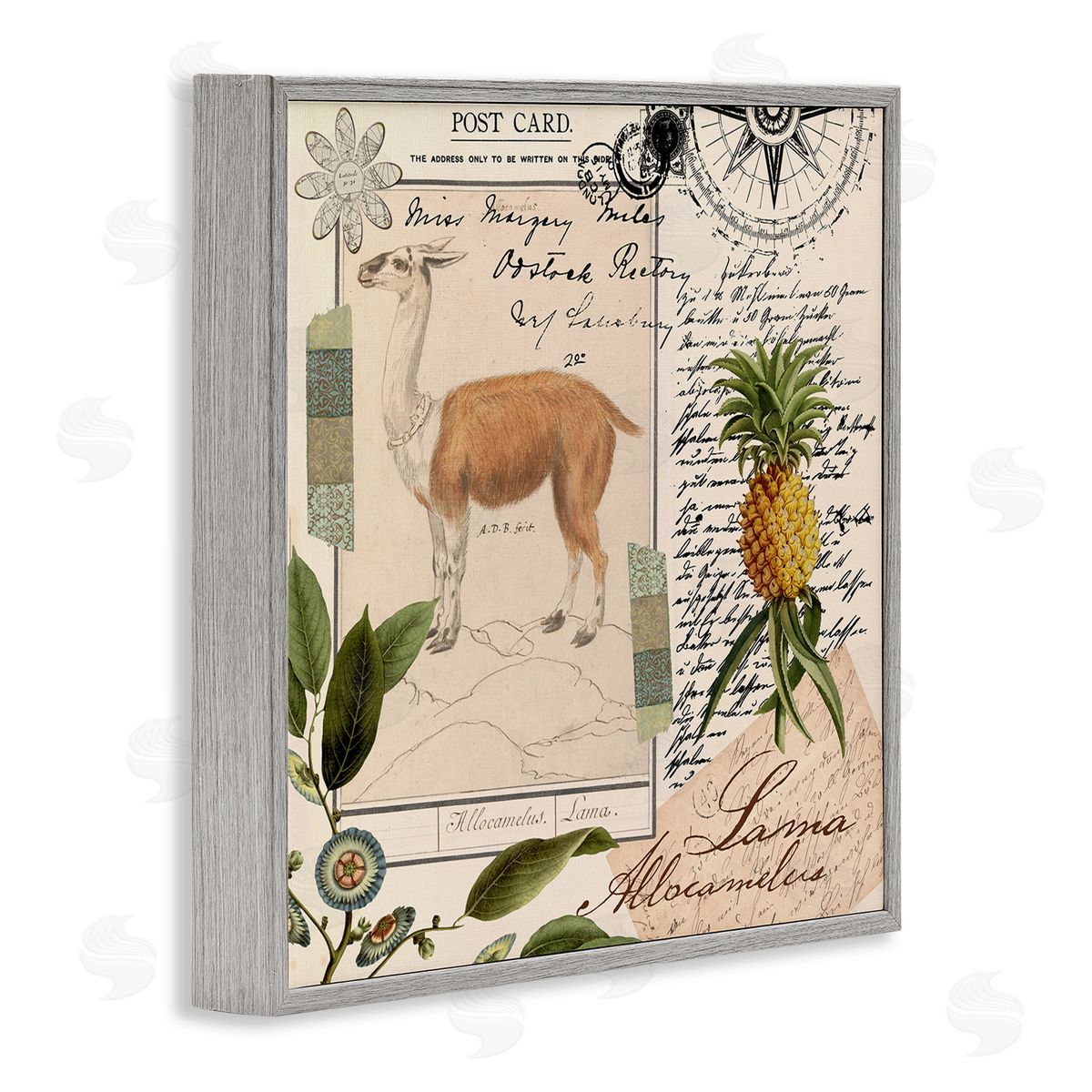 Andrea Haase Vintage Antelope Postcard Gray Framed Giclee Wall Artside_