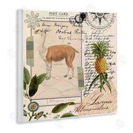 Andrea Haase | Vintage Antelope Postcard