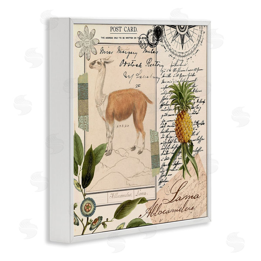 Andrea Haase | Vintage Antelope Postcard
