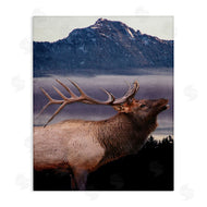 Kim Allen | Elk Mountain Landscape