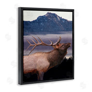 Kim Allen | Elk Mountain Landscape