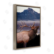 Kim Allen | Elk Mountain Landscape