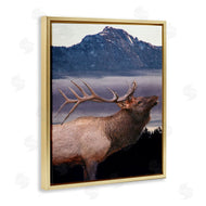 Kim Allen | Elk Mountain Landscape