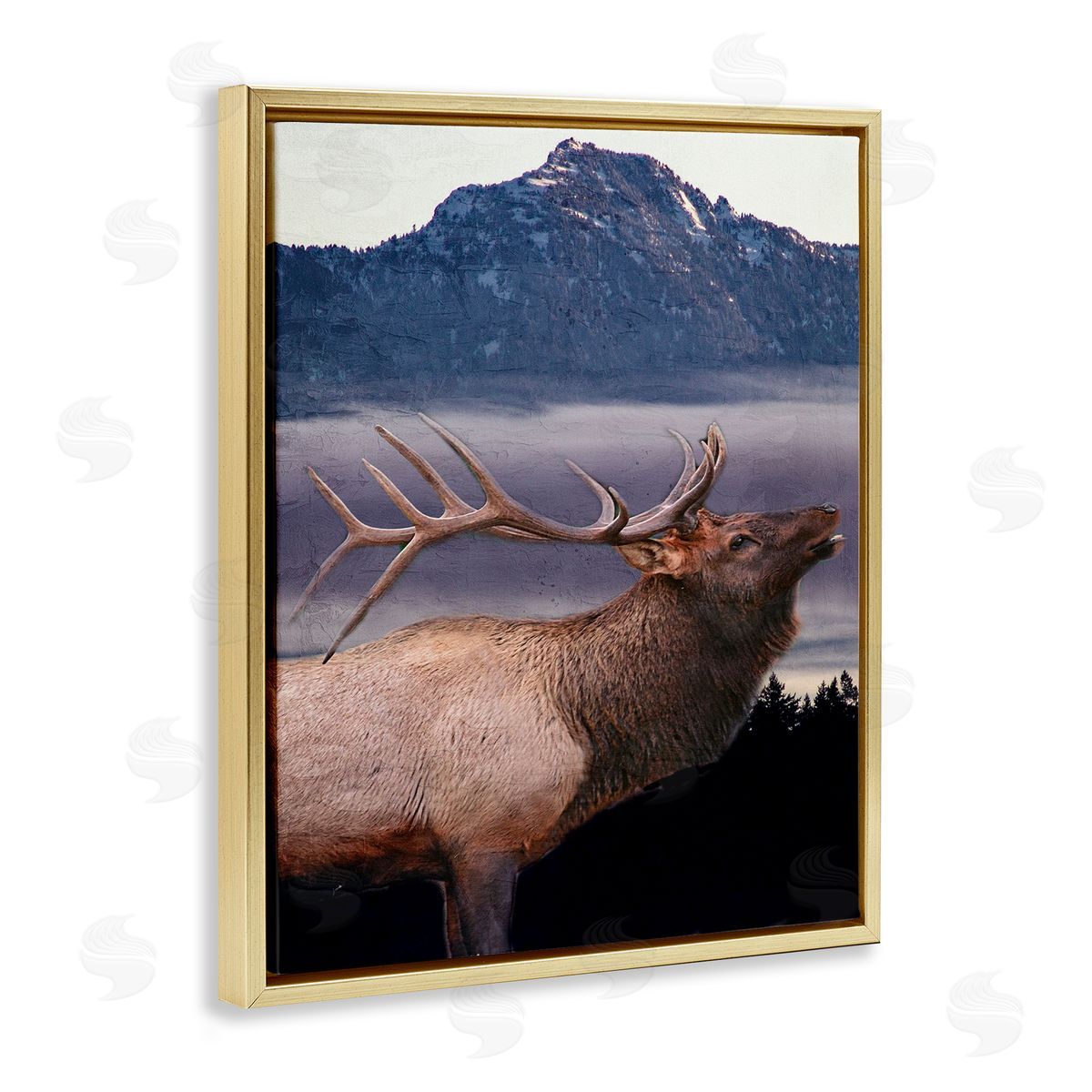 Kim Allen | Elk Mountain Landscape