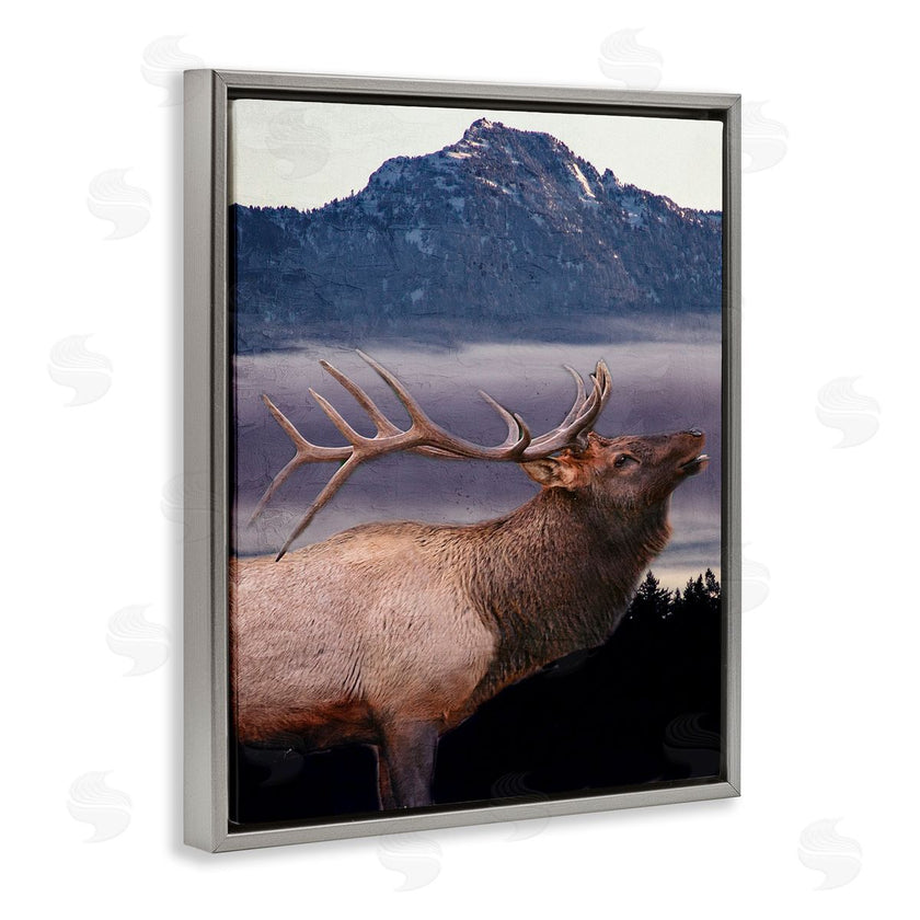 Kim Allen | Elk Mountain Landscape