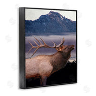Kim Allen | Elk Mountain Landscape