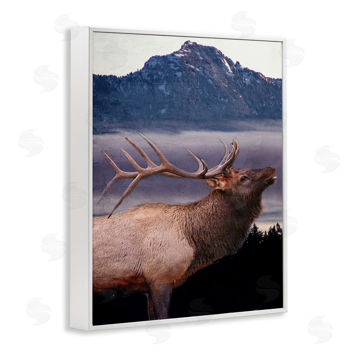 Kim Allen | Elk Mountain Landscape