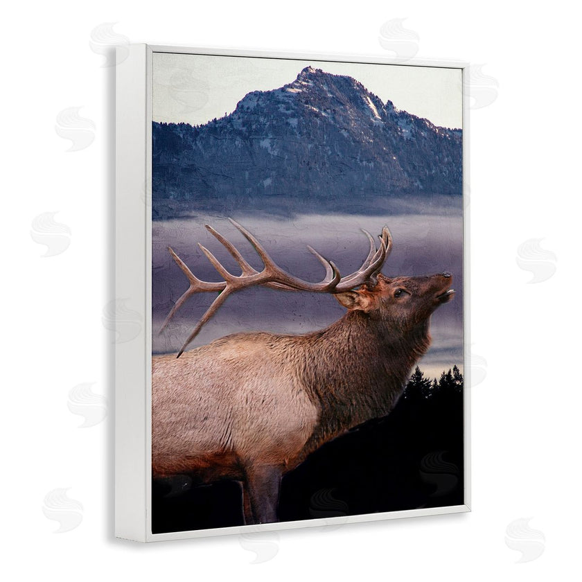 Kim Allen | Elk Mountain Landscape