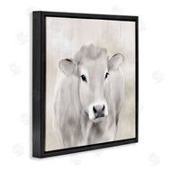 Kim Allen | Soft Cattle Portrait