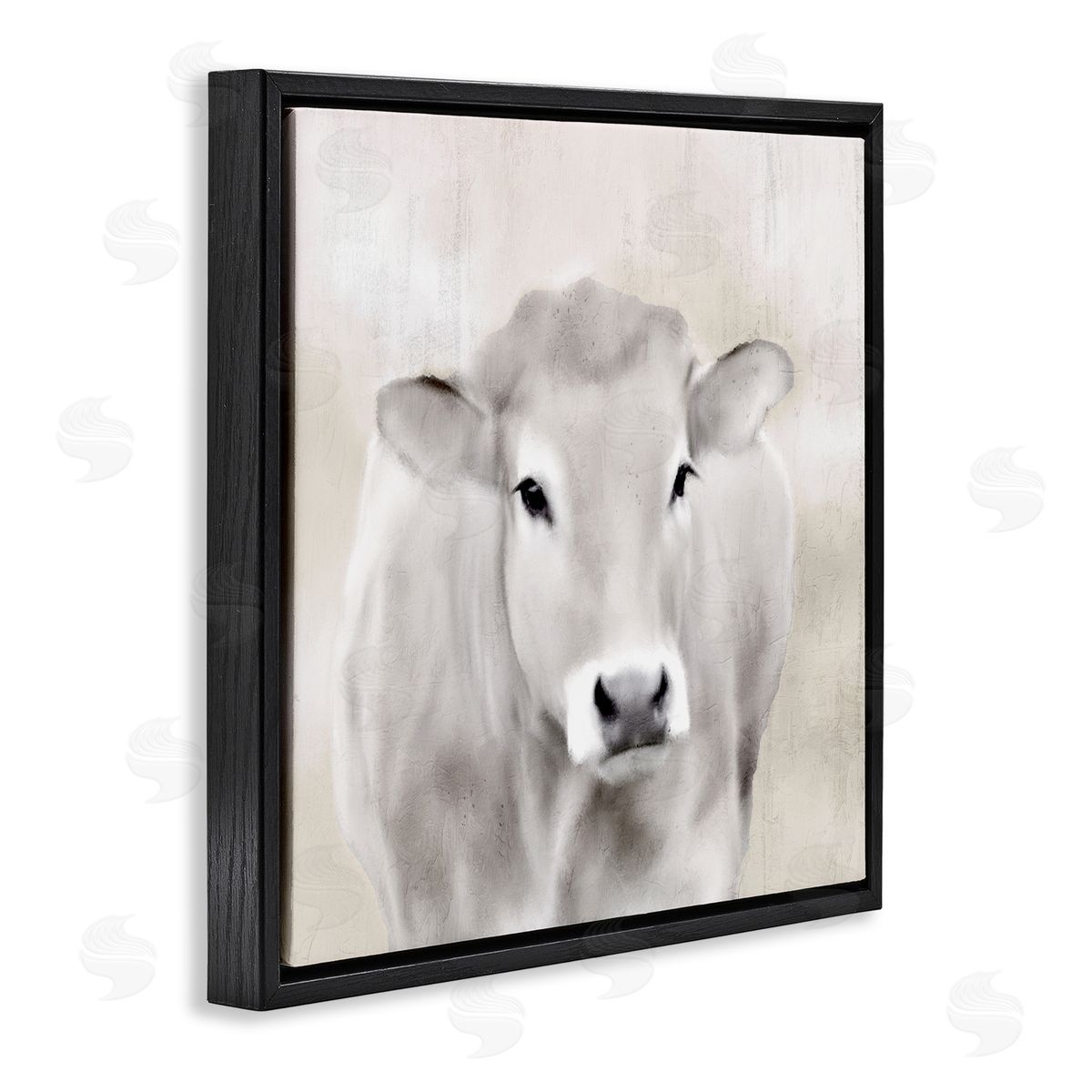 Kim Allen | Soft Cattle Portrait