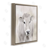 Kim Allen | Soft Cattle Portrait