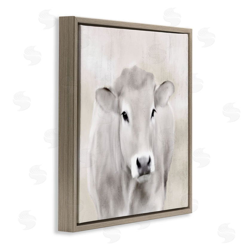 Kim Allen | Soft Cattle Portrait