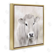 Kim Allen | Soft Cattle Portrait