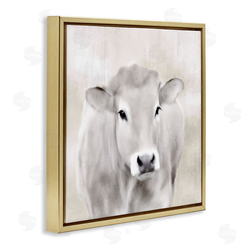 Kim Allen | Soft Cattle Portrait