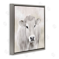 Kim Allen | Soft Cattle Portrait