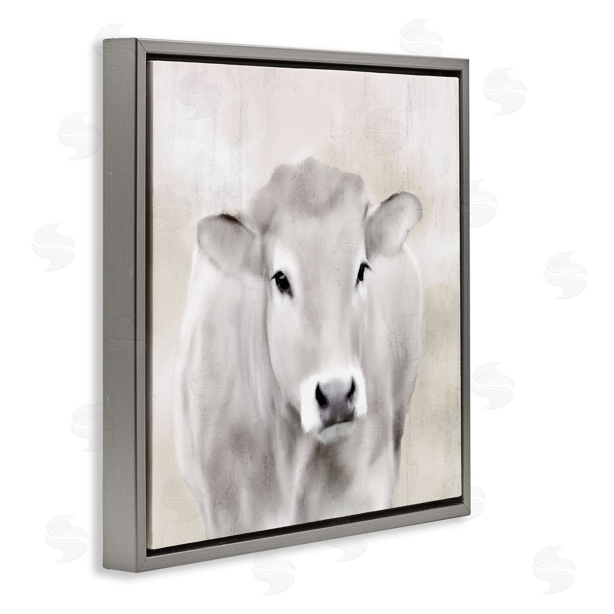 Kim Allen | Soft Cattle Portrait