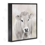 Kim Allen | Soft Cattle Portrait