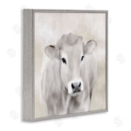 Kim Allen | Soft Cattle Portrait