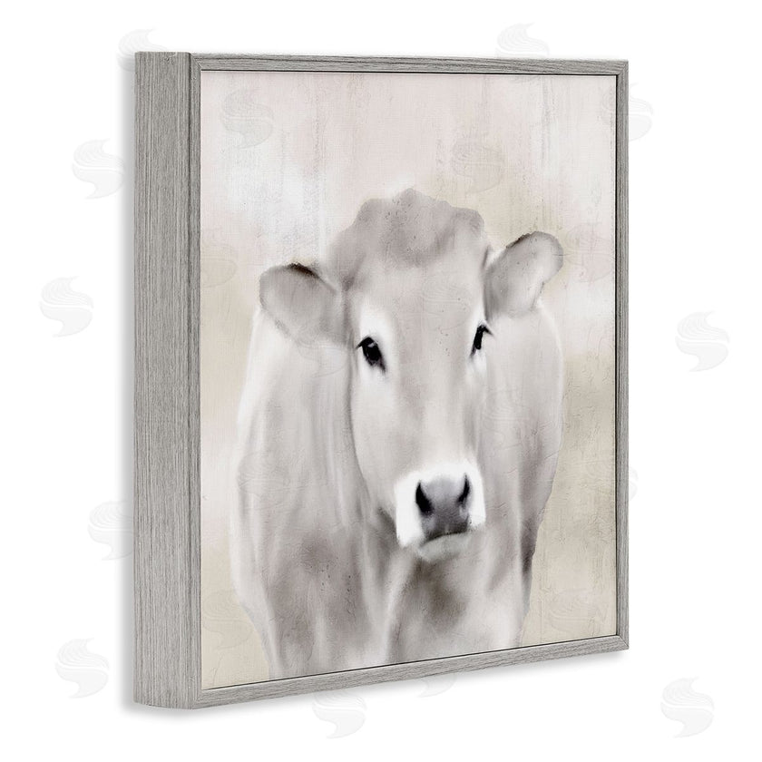 Kim Allen | Soft Cattle Portrait