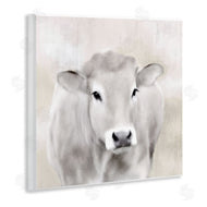 Kim Allen | Soft Cattle Portrait