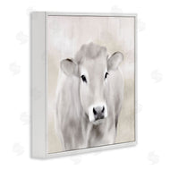 Kim Allen | Soft Cattle Portrait