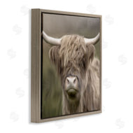 Kim Allen | Soft Highland Cow